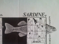 Sardine V at Stranded